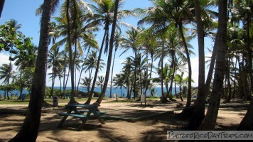 Cerro Gordo Beach