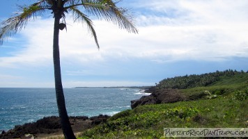 Cerro Gordo Beach