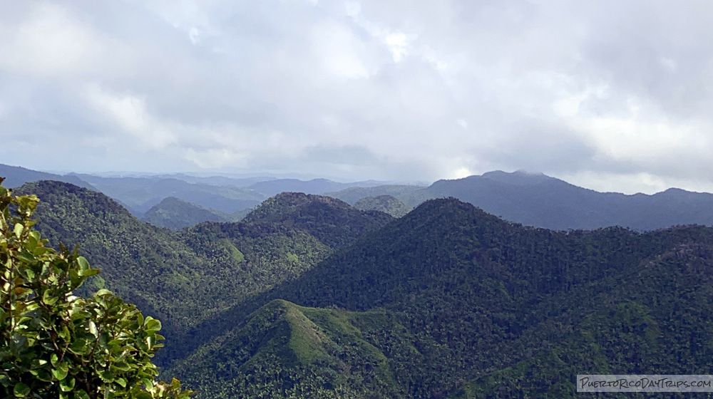 Cerro la Punta