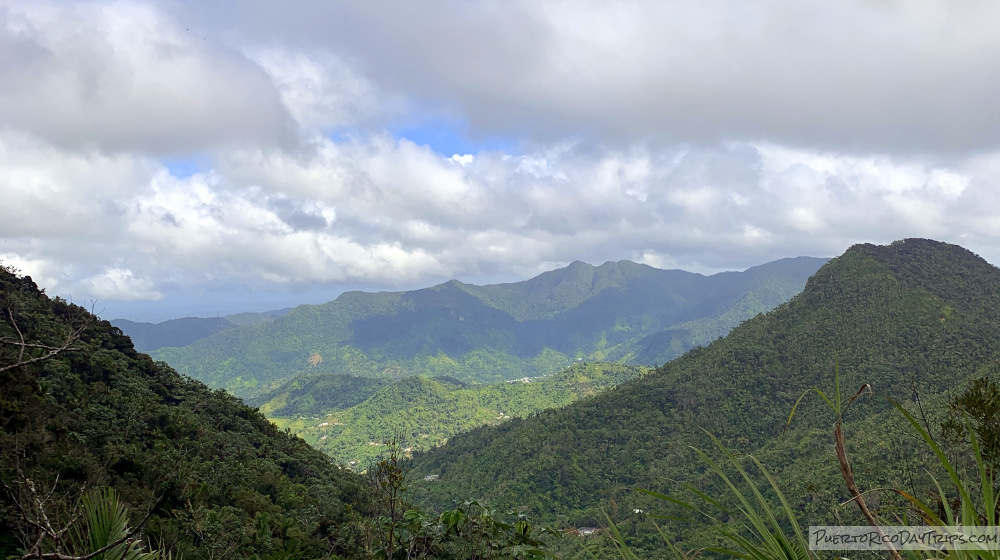 Cerro la Punta