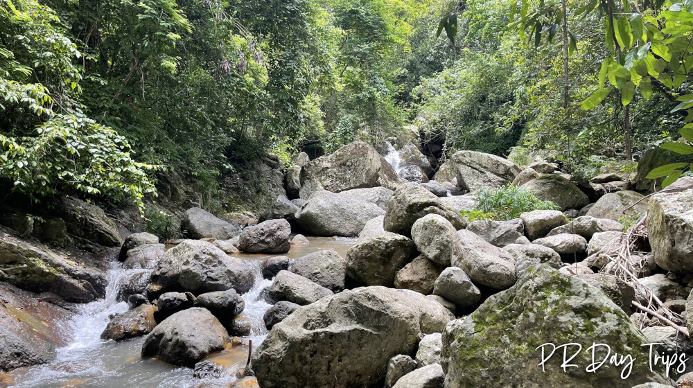 Charco el Cafe