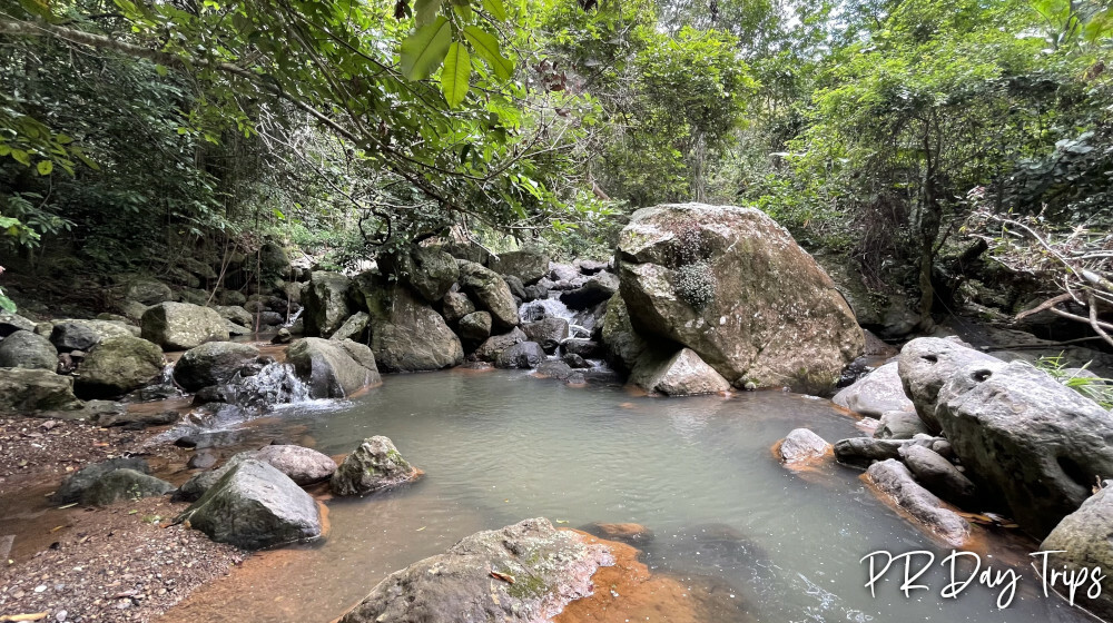Charco el Cafe