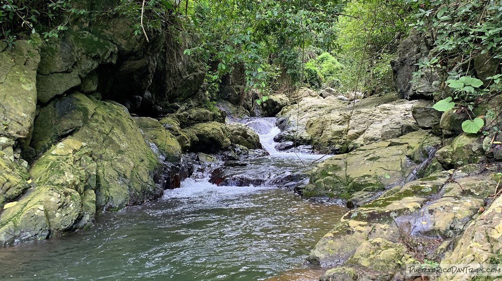 Charco el Mango