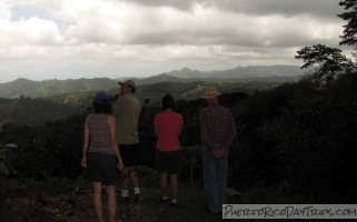 Puerto Rican Coffee Tours