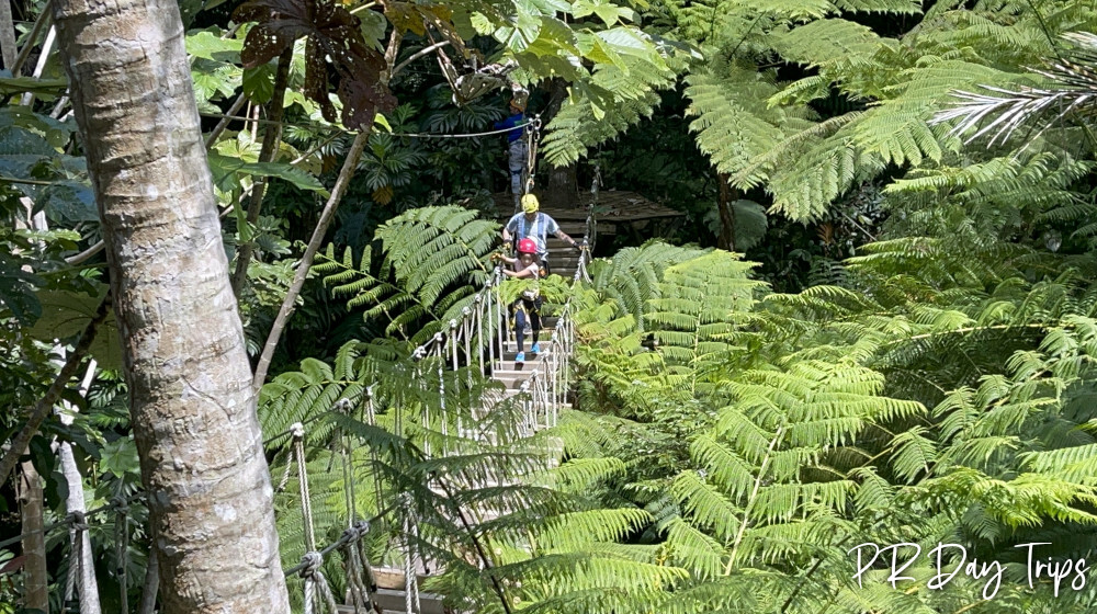 Corcovado Adventures Zipline