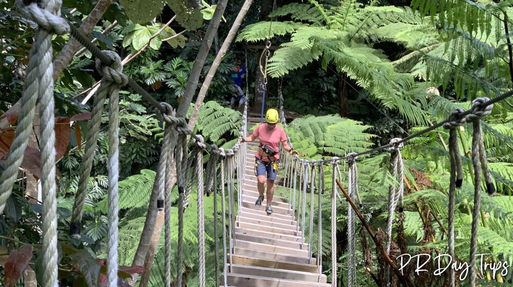 Corcovado Adventures Zipline