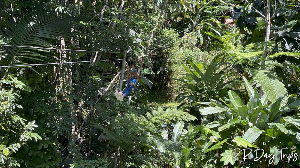 Corcovado Adventures Zipline