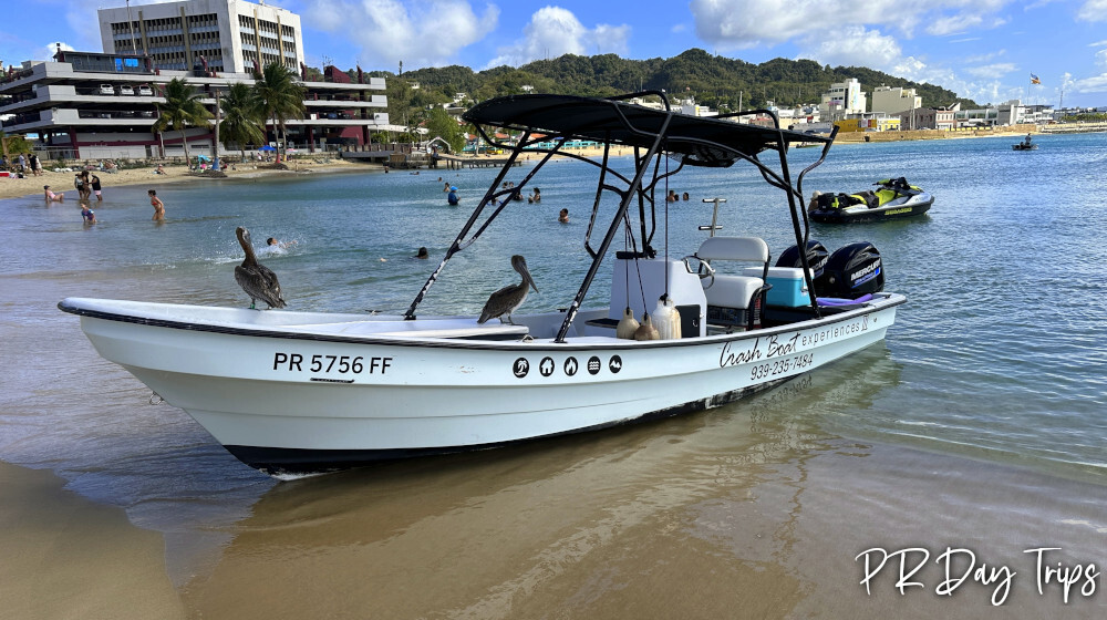Crash Boat Experiences