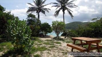 Culebra Camping at Flamenco Beach