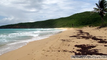 Playa Resaca, Culebra