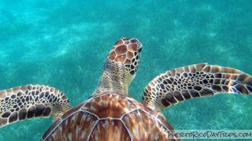 Culebra Itinerary