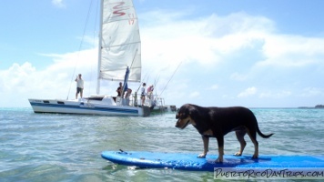 Culebra Day Sail