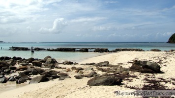 Shark Cages, Flamenco Beach, Culebra