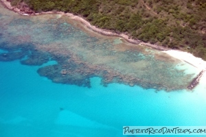 Shark Cages, Flamenco Beach, Culebra