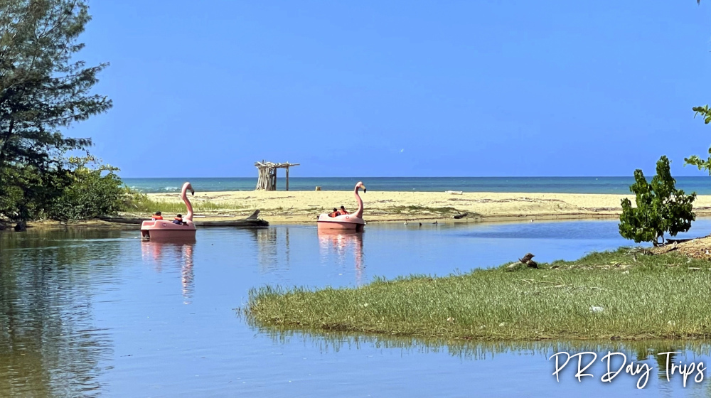 Discovery Bay Paddle Boats