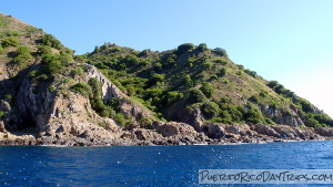 Diving at Desecheo Island