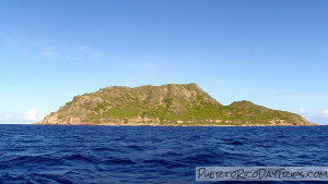 Diving at Desecheo Island