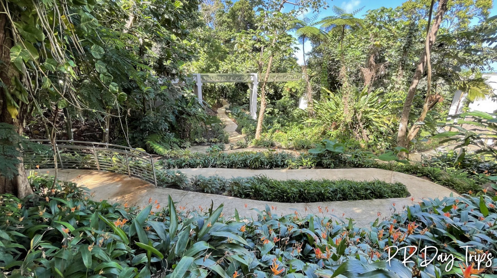 El Portal de El Yunque