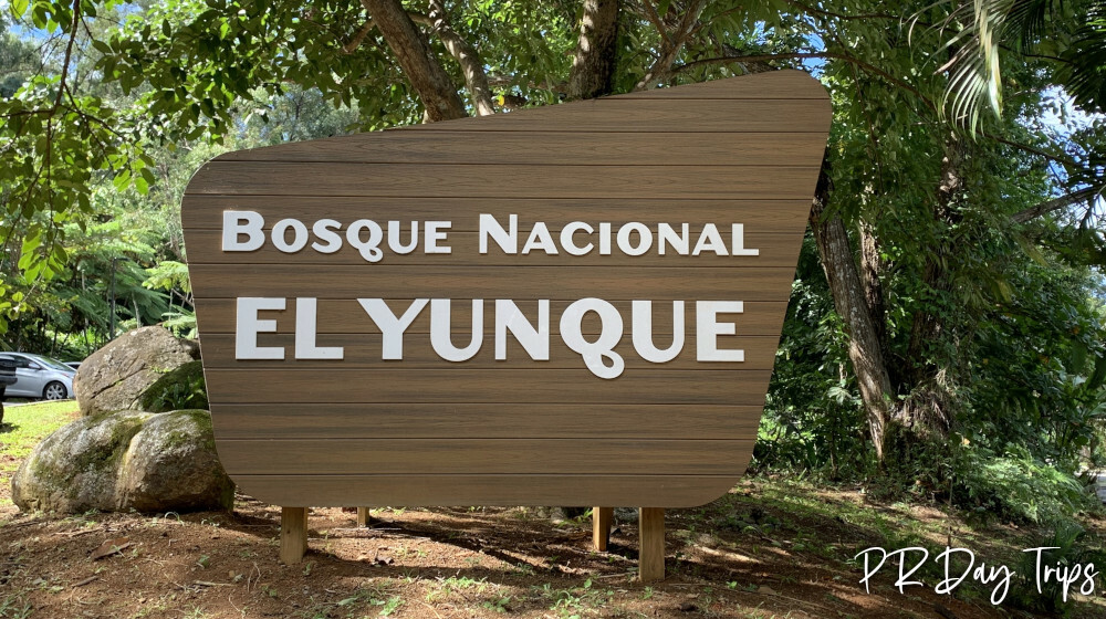El Portal de El Yunque