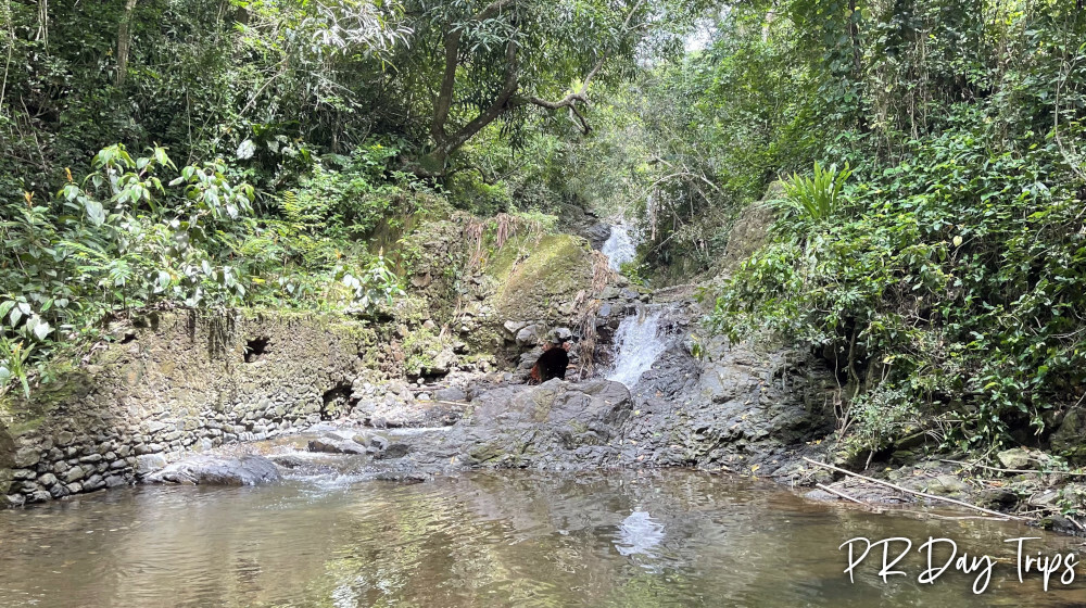 El Salto Mayaguez