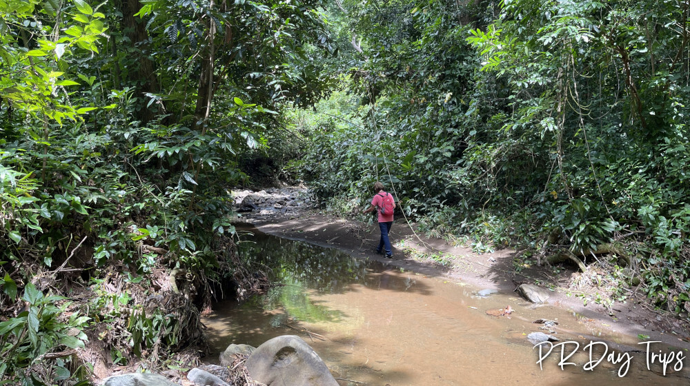 El Salto Mayaguez