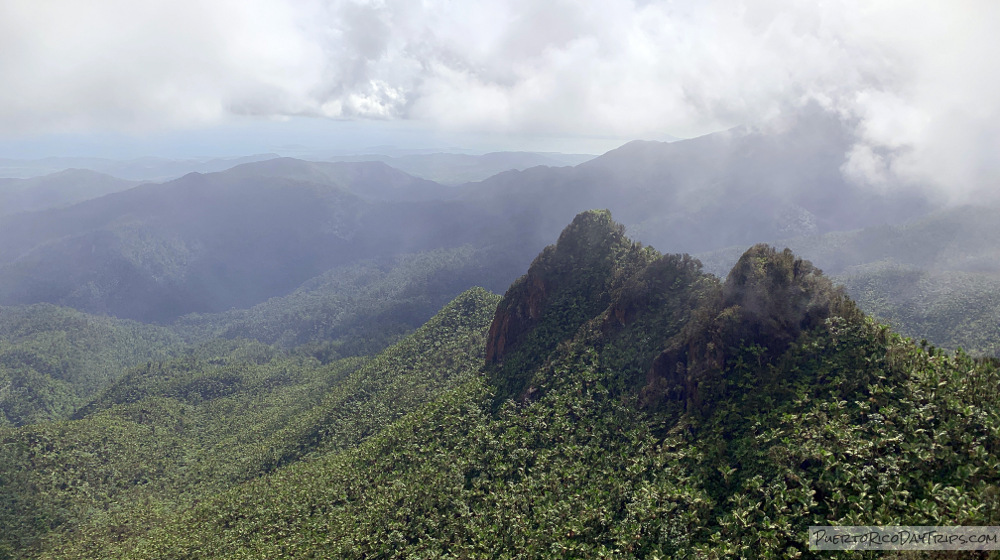 El Yunque National Forest