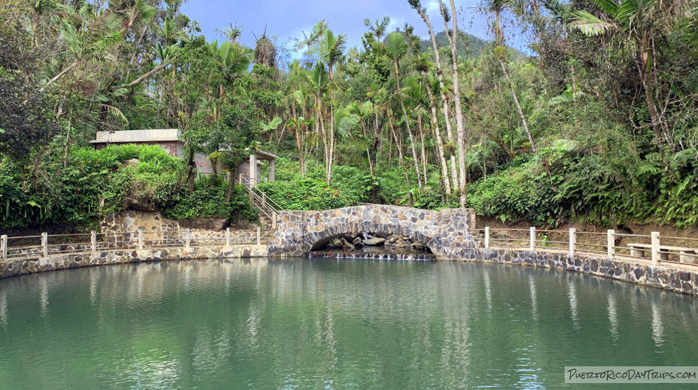 El Yunque National Forest