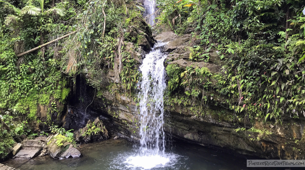 El Yunque National Forest