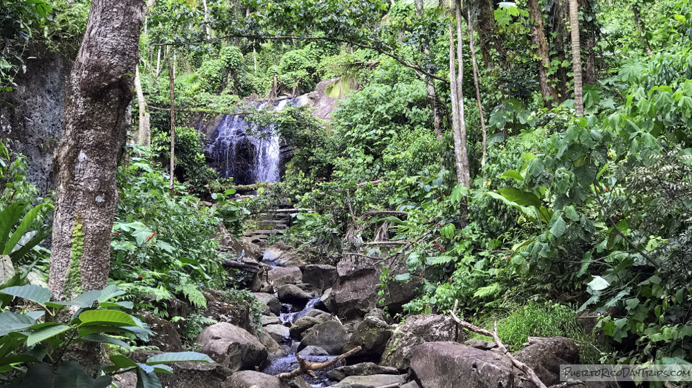 El Yunque National Forest