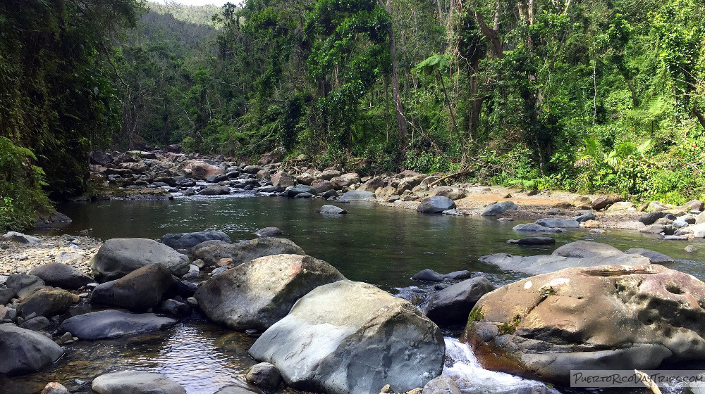 El Yunque National Forest