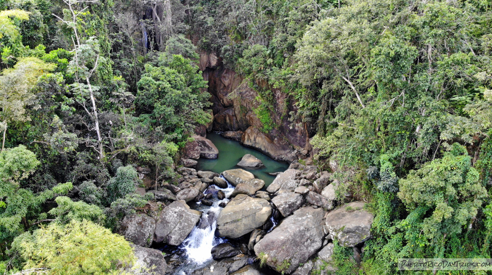 El Yunque National Forest