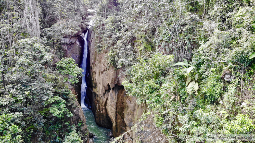 El Yunque National Forest