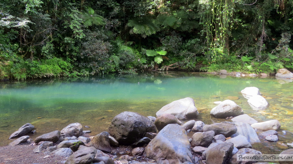 El Yunque National Forest