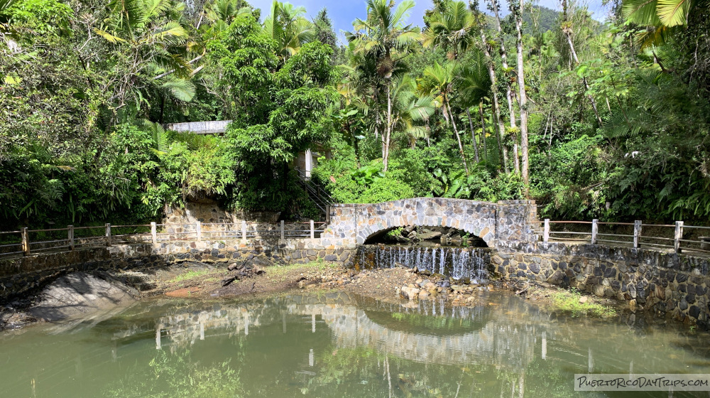El Yunque National Forest