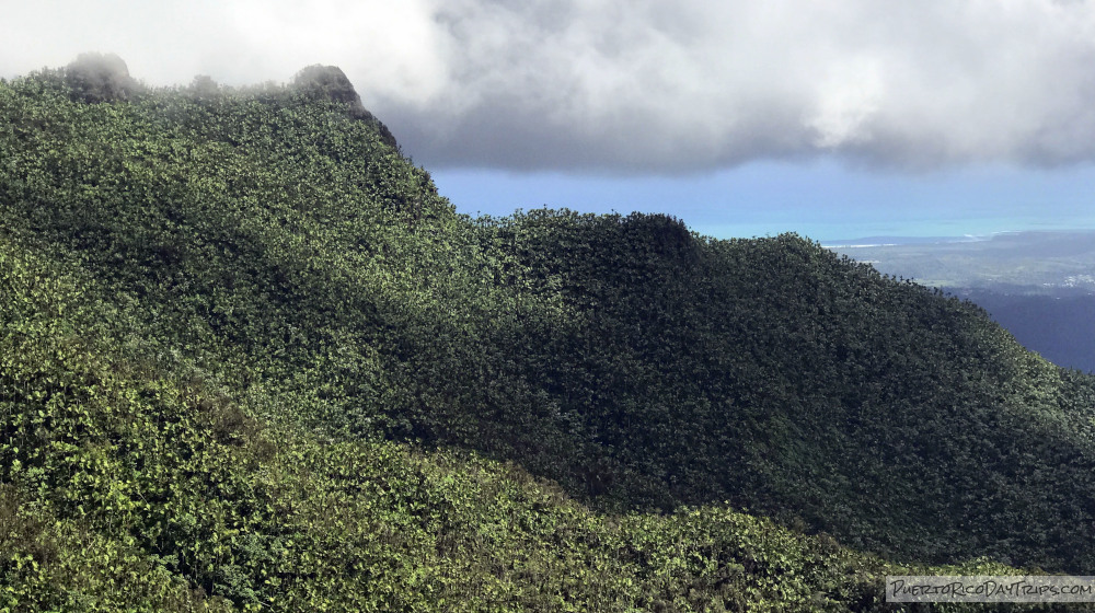 El Yunque National Forest