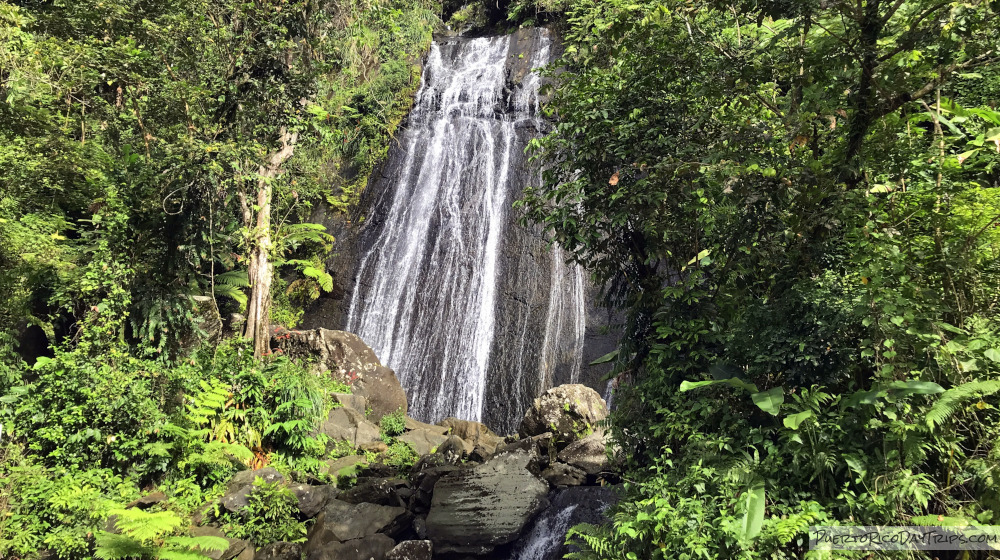 El Yunque National Forest