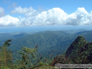View from the peak of El Yunque