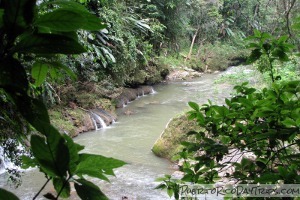 Tanama River Body Rafting