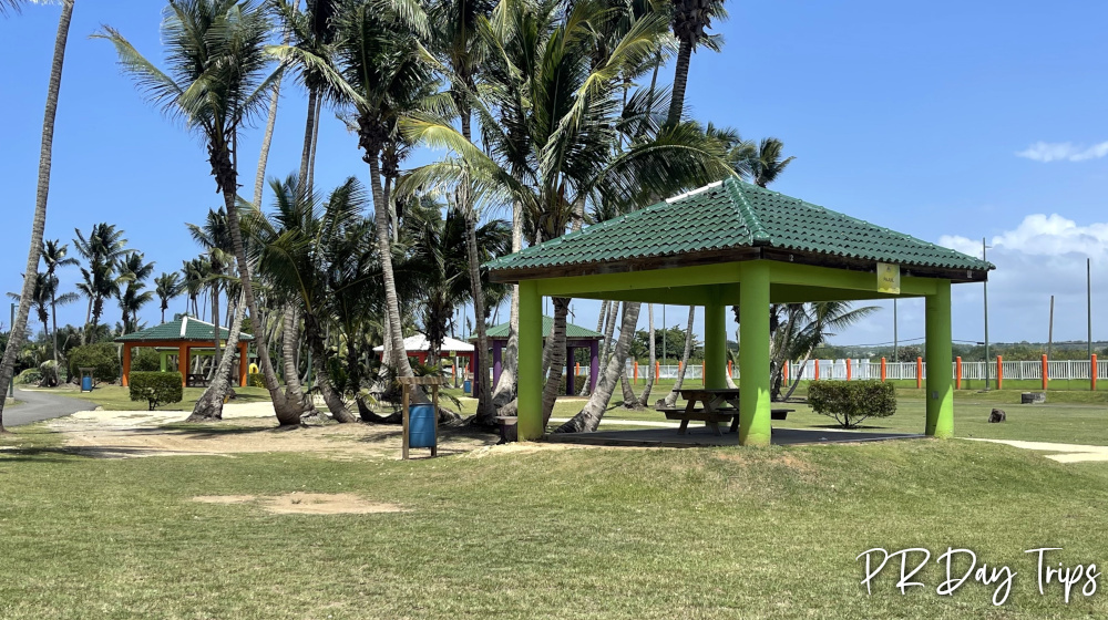 El Gran Parque del Norte