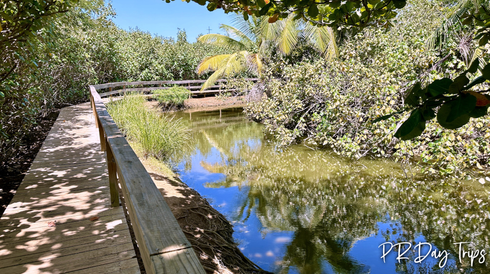 El Gran Parque del Norte