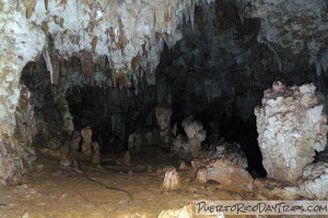 Cueva del Viento in Guajataca Forest