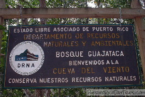 Cueva del Viento in Guajataca Forest