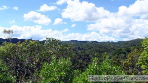 Guajataca Forest Interpretive Trail