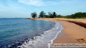 Tamarindo Beach