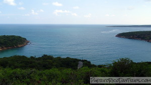 Guanica Dry Forest