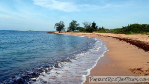 Tamarindo Beach