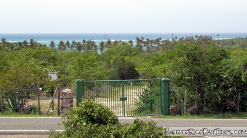 Guanica Dry Forest