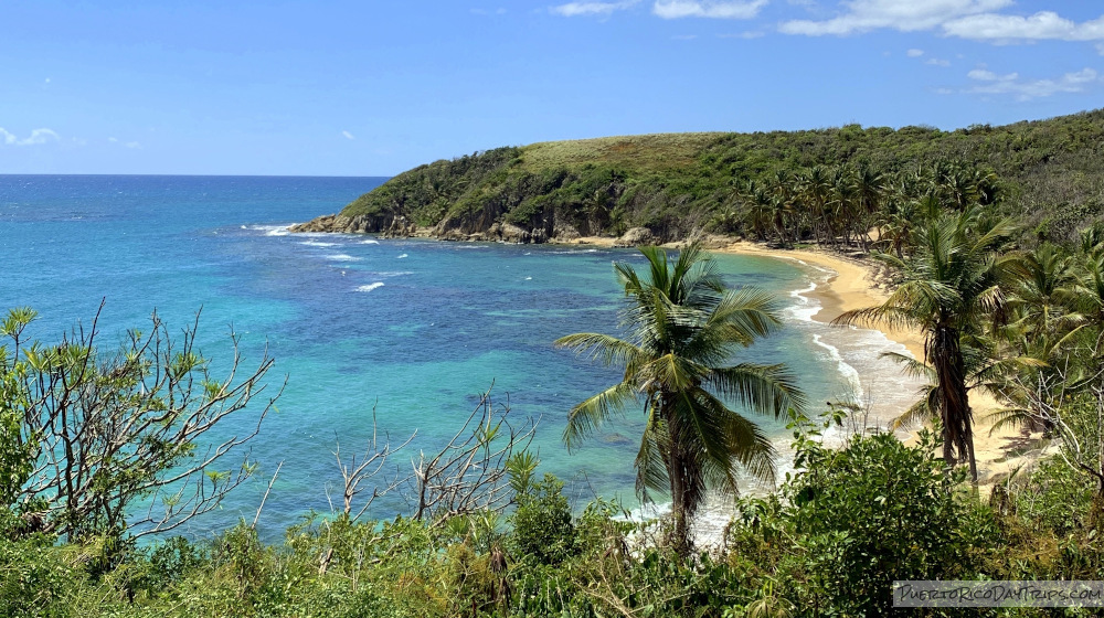 Guayanes Dry Forest