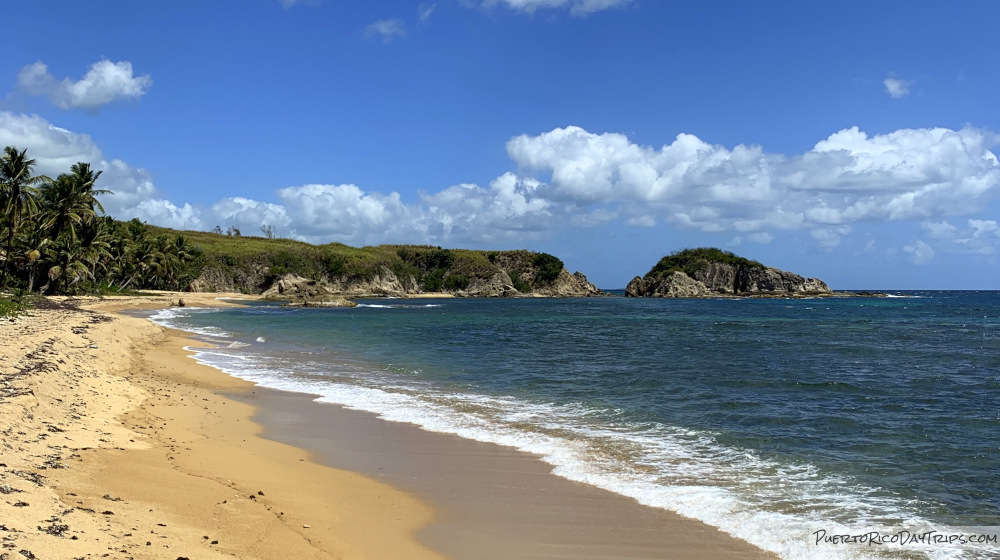 Guayanes Dry Forest