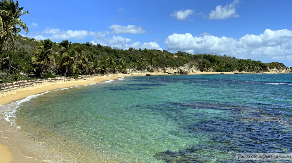 Guayanes Dry Forest